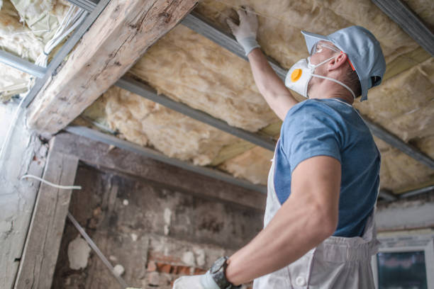 Best Cellulose Insulation in Redington Beach, FL
