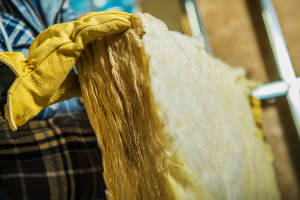Best Eco-Friendly Insulation in Redington Beach, FL