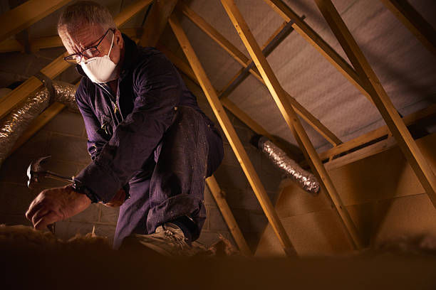 Best Residential Insulation in Redington Beach, FL
