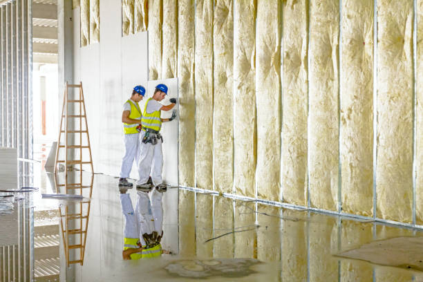 Best Cellulose Insulation in Redington Beach, FL